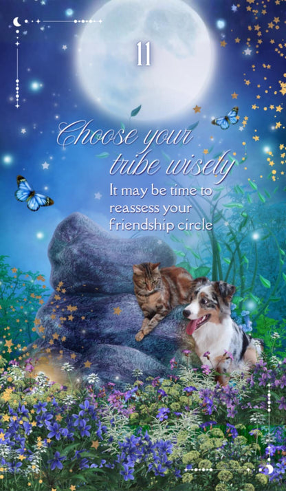 A Love Like No Other oracle cards - mystic academy