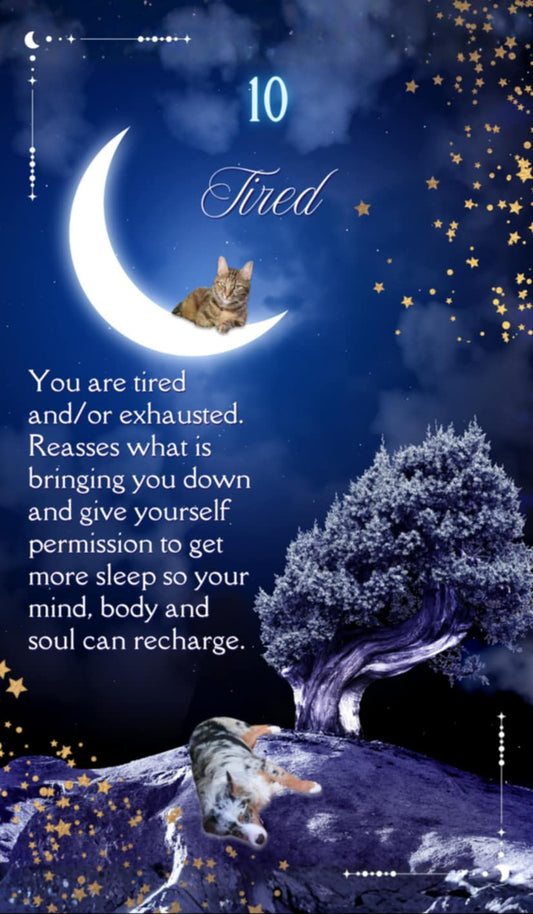 A Love Like No Other oracle cards - mystic academy