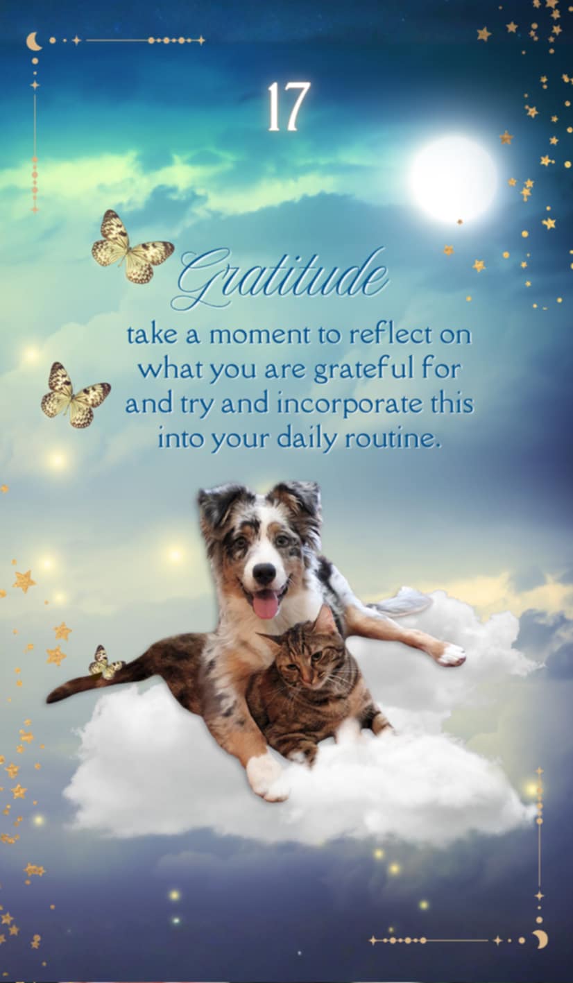 A Love Like No Other oracle cards - mystic academy