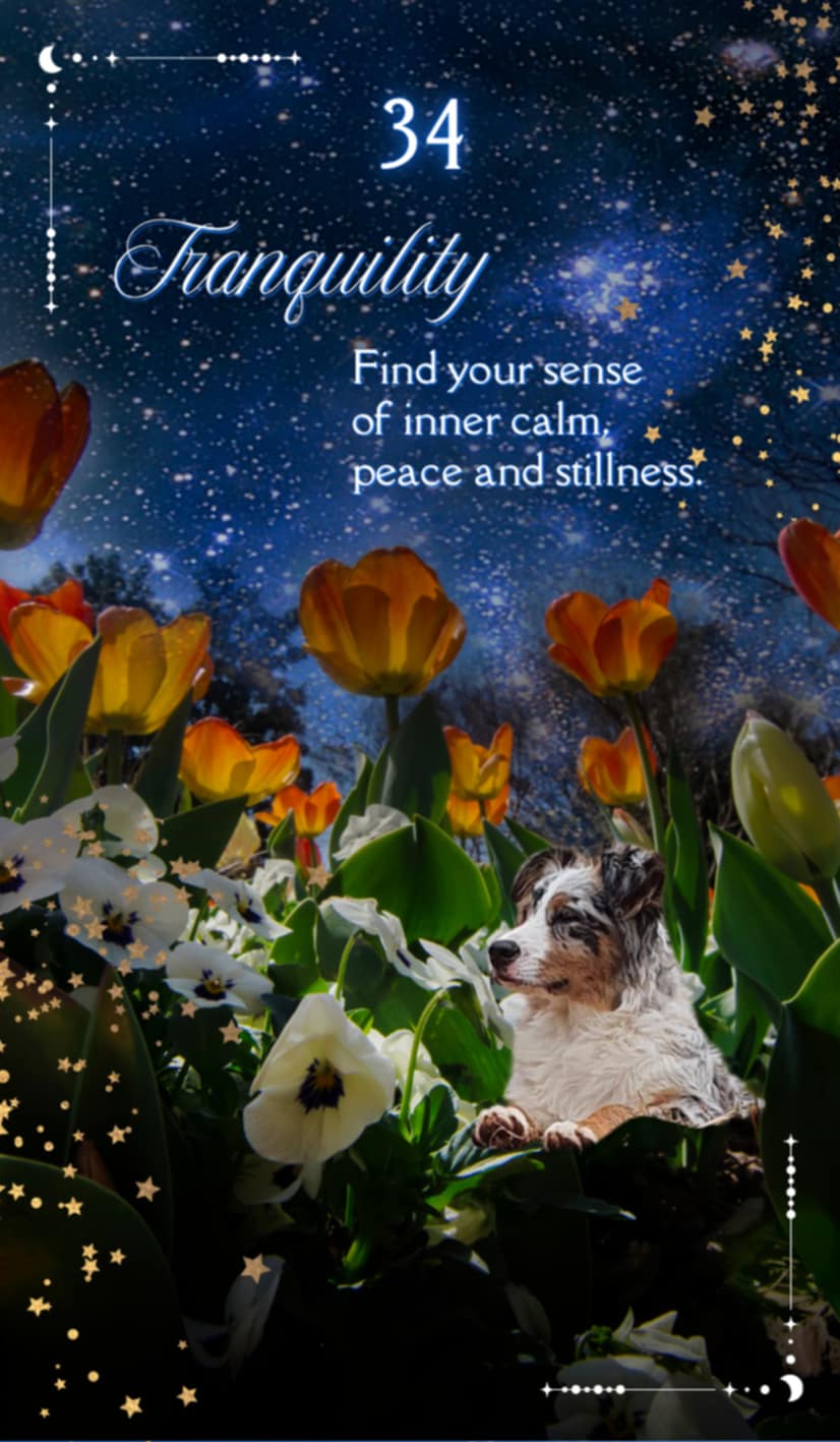 A Love Like No Other oracle cards - mystic academy